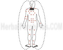 The natural herbals helps flexible joints & discs, improve immune system better digestion, smoother breathing, boost up metabolism & reduce tiredness