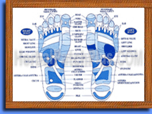 Reflexology Internal Massager helps circulatory system which distribute oxygen from the heart to all parts of the body that increased vitality, energy and well-being